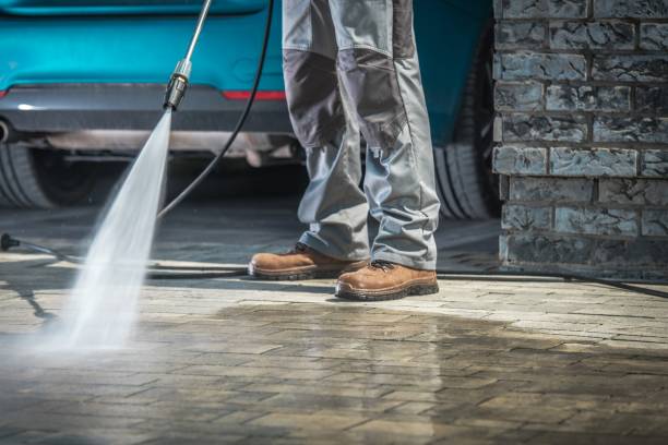 Best Roof Washing  in Mont Alto, PA